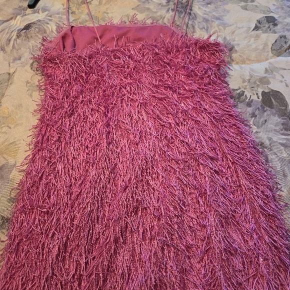 NWOT Stylish Pink fringe mini dress. Great Holiday dress Size M - Picture 3 of 4